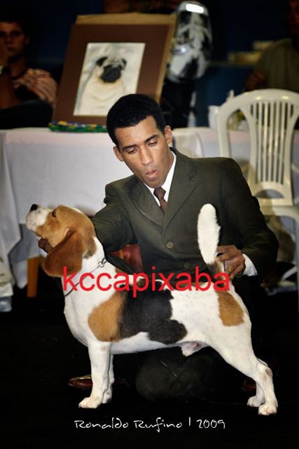 Clique sobre a foto para fechar